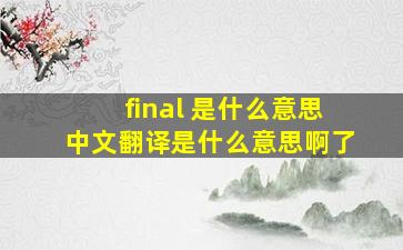 final 是什么意思中文翻译是什么意思啊了